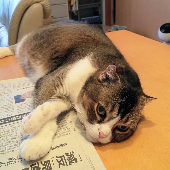 40e4ea4e 1054 41e7 8083 f6b1e0550bb3 1754434664419