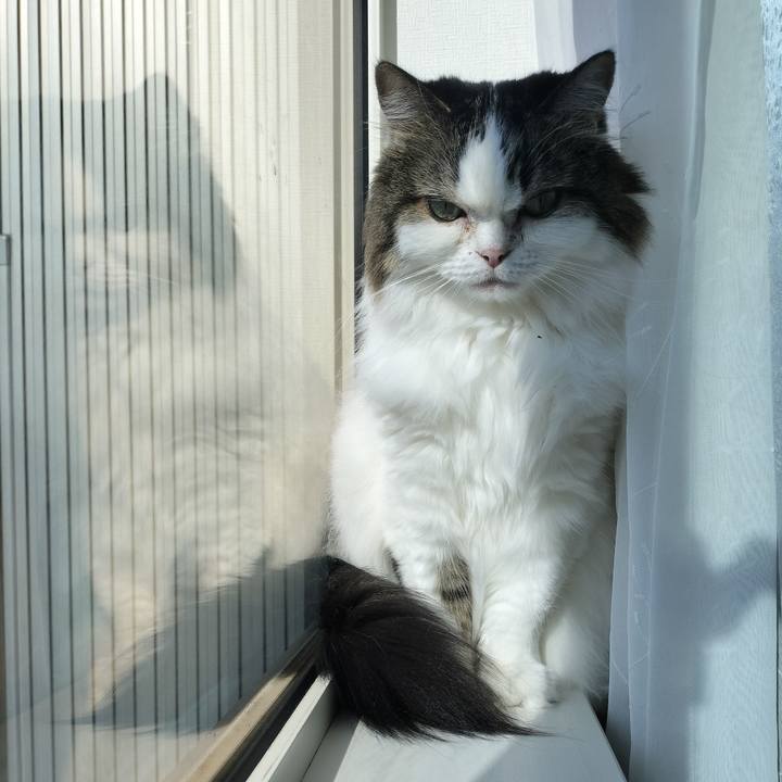 40e4f8fb 618b 4d67 8378 70917b25c9d2 1758252011819