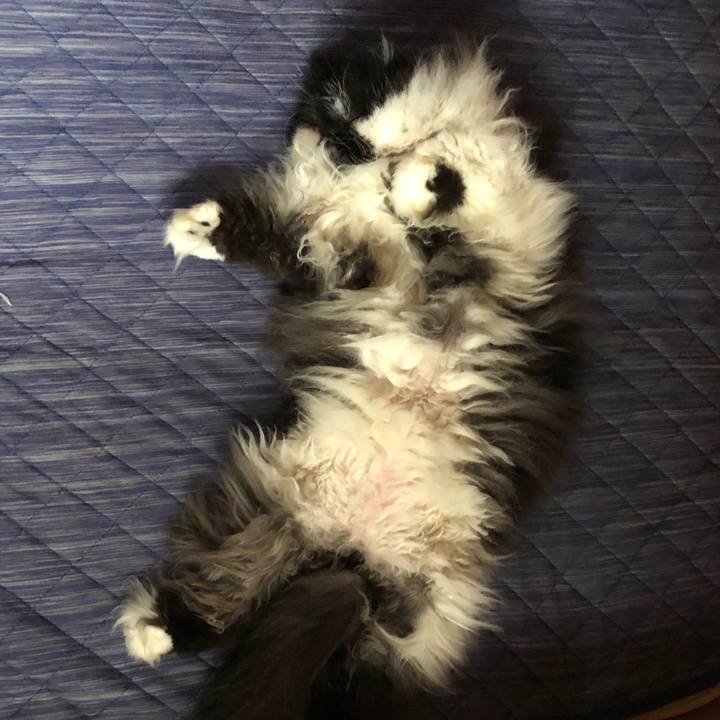 40e507a6 3a4a 4435 bbdd 6edab3d42f68 1549335425919