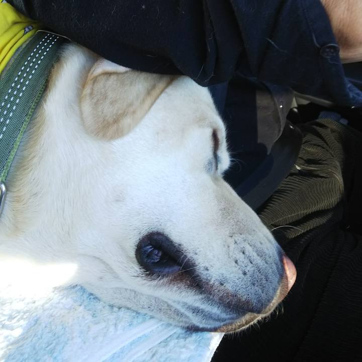 40e53c50 08ec 4f12 ba1d 2781698b393f 1546861122001