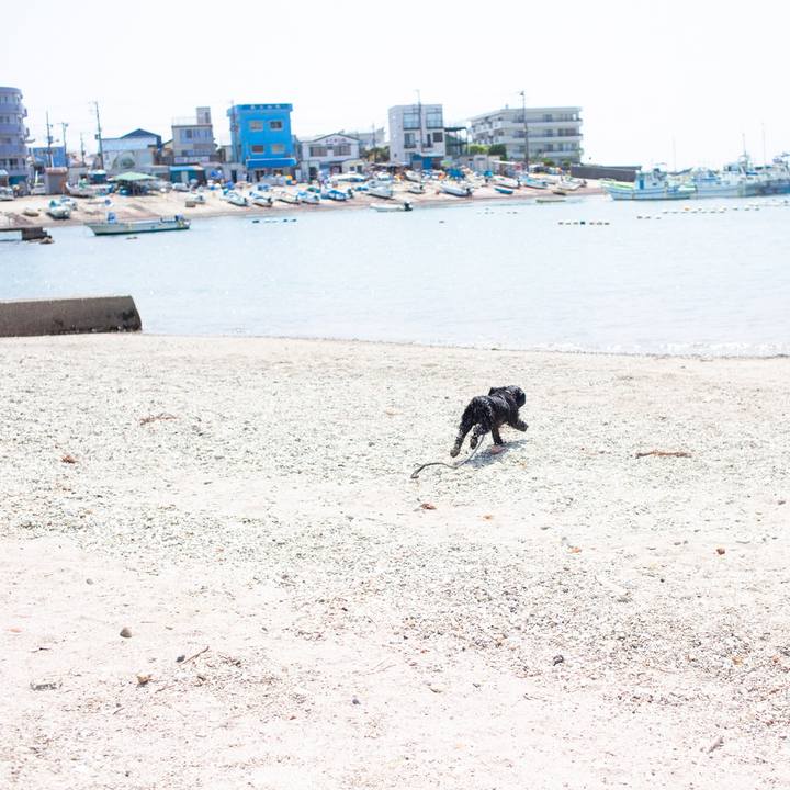 40e578ff 0f14 4b33 b805 a935e1aa84ae 1564493521299