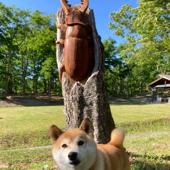 40e59ce9 52ea 4d93 a30e 14cd1b706724 1716292650238