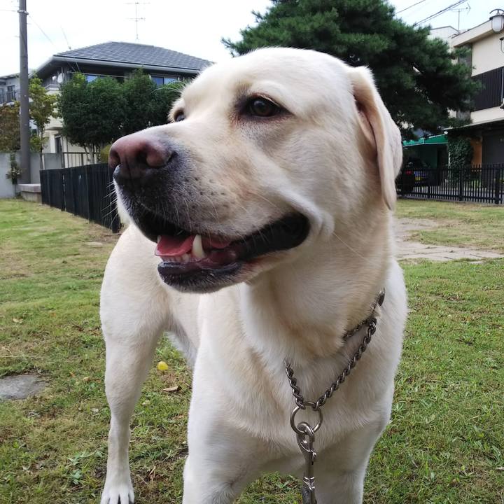 40e5c0cc fc9d 4a0f 9188 33f53ae748f1 1536049111216