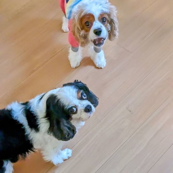 40e5d31a 3445 4c8c a595 ebc0863d0148 1693644764877