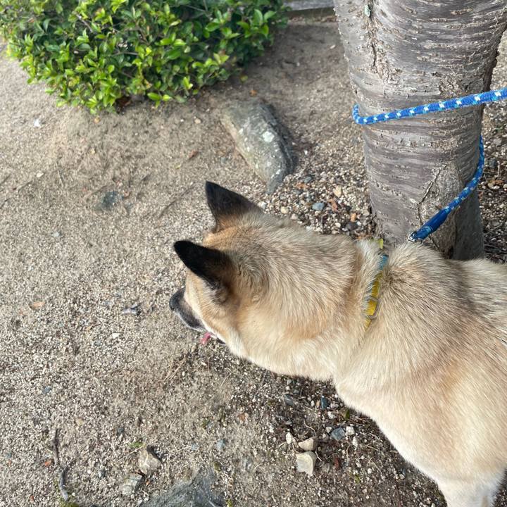 40e5eaec daf4 47b5 b0f2 6d55cbeb55f9 1655121347186