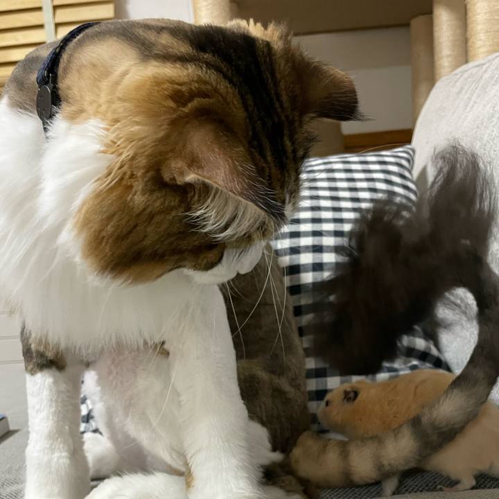 40e606d2 8bc0 4d76 8151 1a2e7b9467db 1658920637116