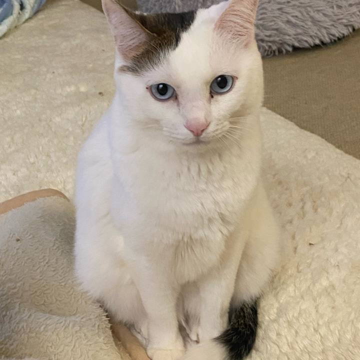 40e62c7e a8d7 42c1 9e64 056bb19d79f6 1737330044610