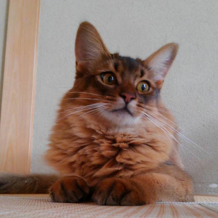 40e6320a eb9e 4599 8a57 5ab95ac516f7 1593397290616