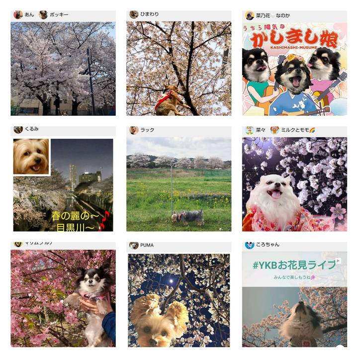 40e636b5 5575 4196 b442 d6a09df4bbcb 1680411024478