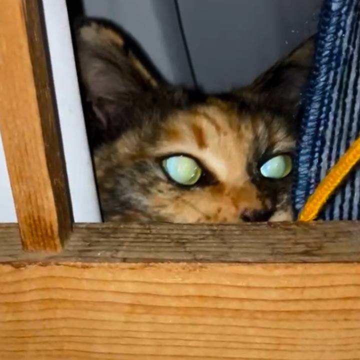 40e63b1c 1233 4b0e 83ed 78bedd6fddf2 1743797640679