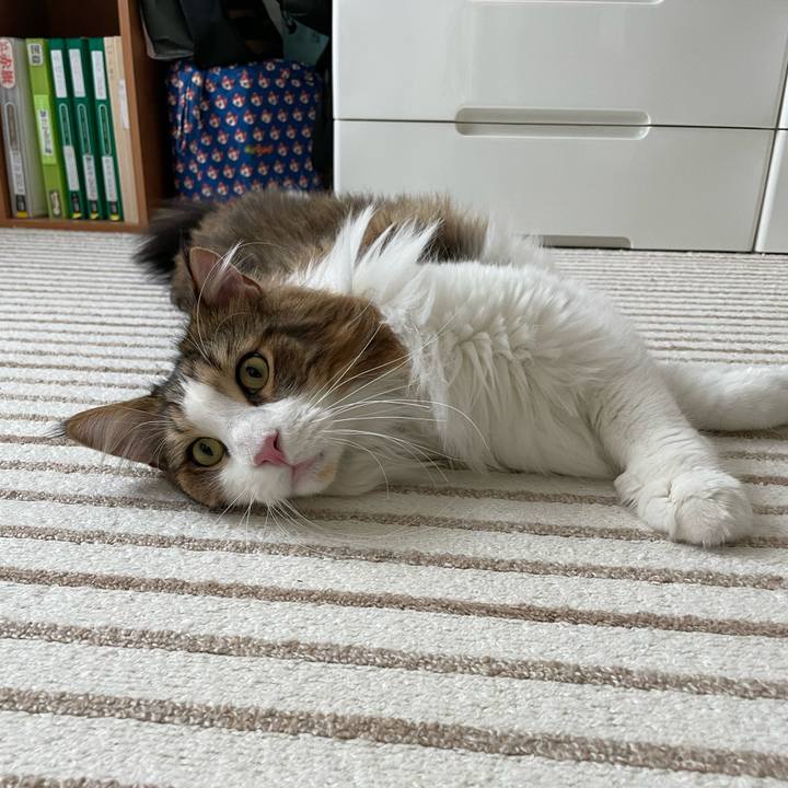 40e64b04 8f5f 4cc3 a735 f961cd3082e8 1668928345939