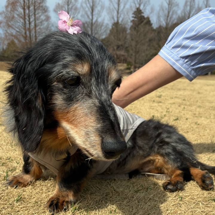 40e67755 44fe 4452 8b3f 8fac2eaa5161 1772364228533