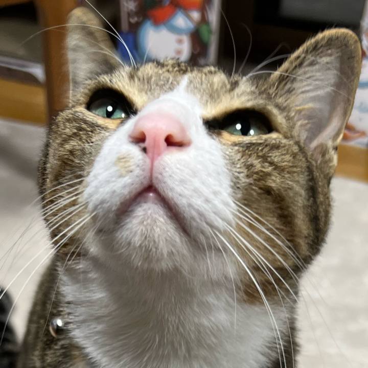 40e697c7 888f 4245 b521 69703c902ef5 1747408089919