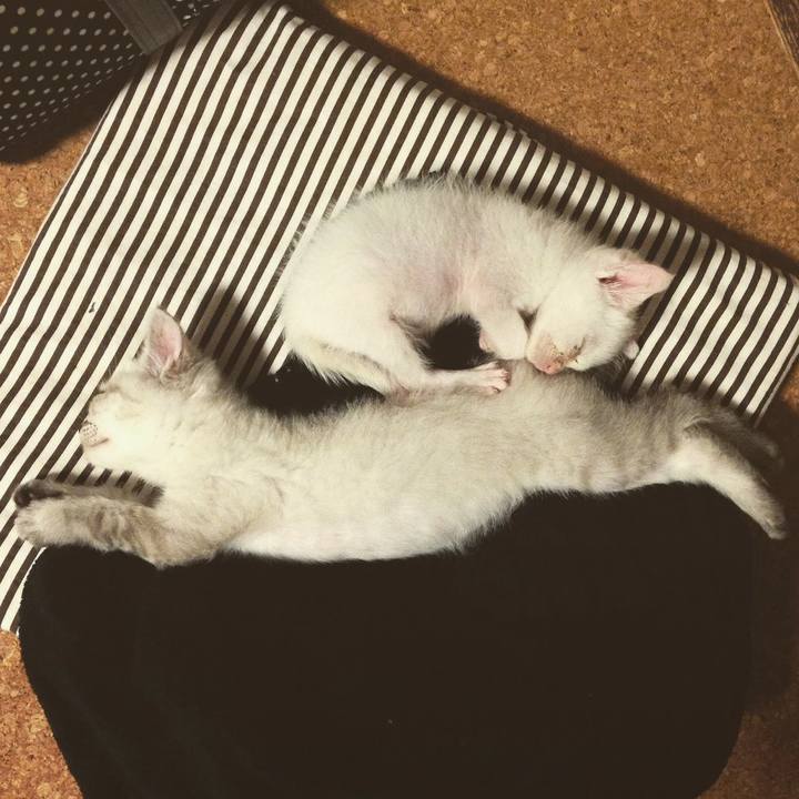 40e6a9ad efb5 420a 9b97 0c1f2110ebad 1626226743114