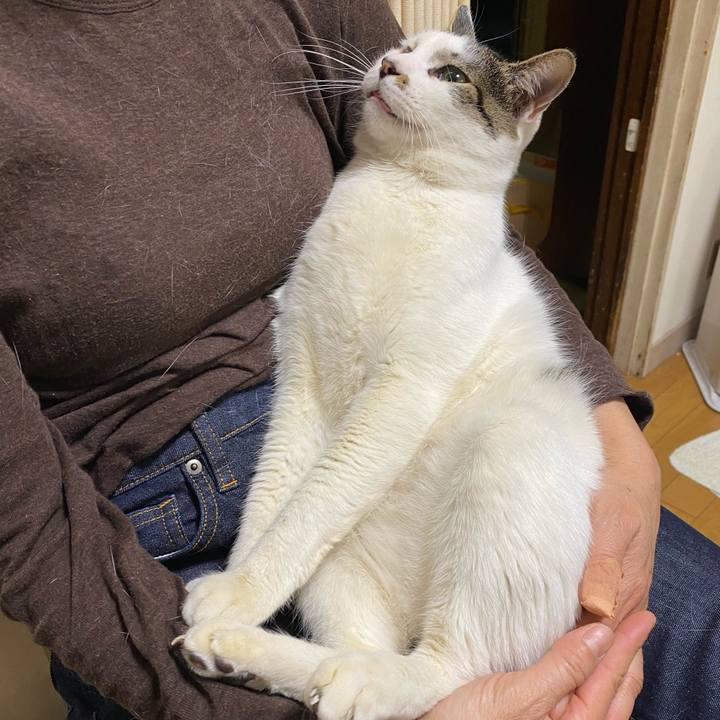 40e6db66 1920 4ea8 b172 7cbf0a338f6f 1637552561561