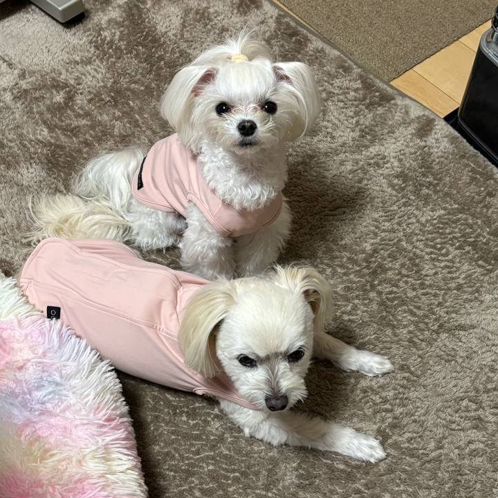 40e721fc 88b7 4813 b5d5 a1facc431570 1765702067178