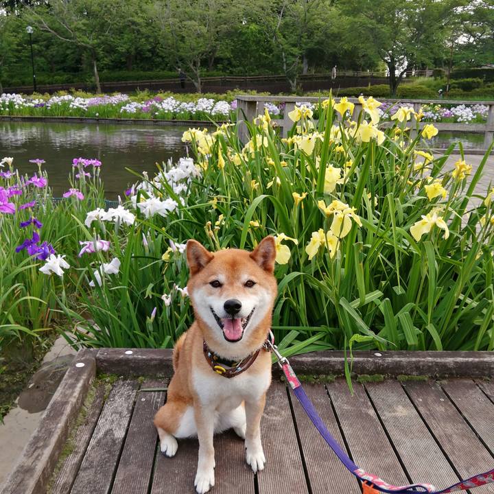 40e739e6 6abe 4078 a543 7d2ea9b2f1e6 1622975122772