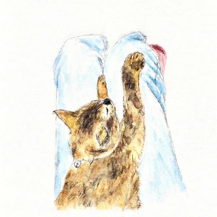 40e78dcd 4988 4b62 87e1 24f3d6d24703 1657143547183