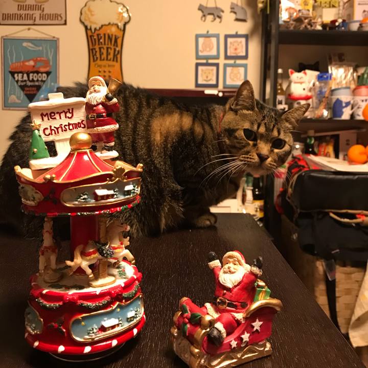 40e79b2f 91f1 4526 954b 96110a9948a9 1577192453728