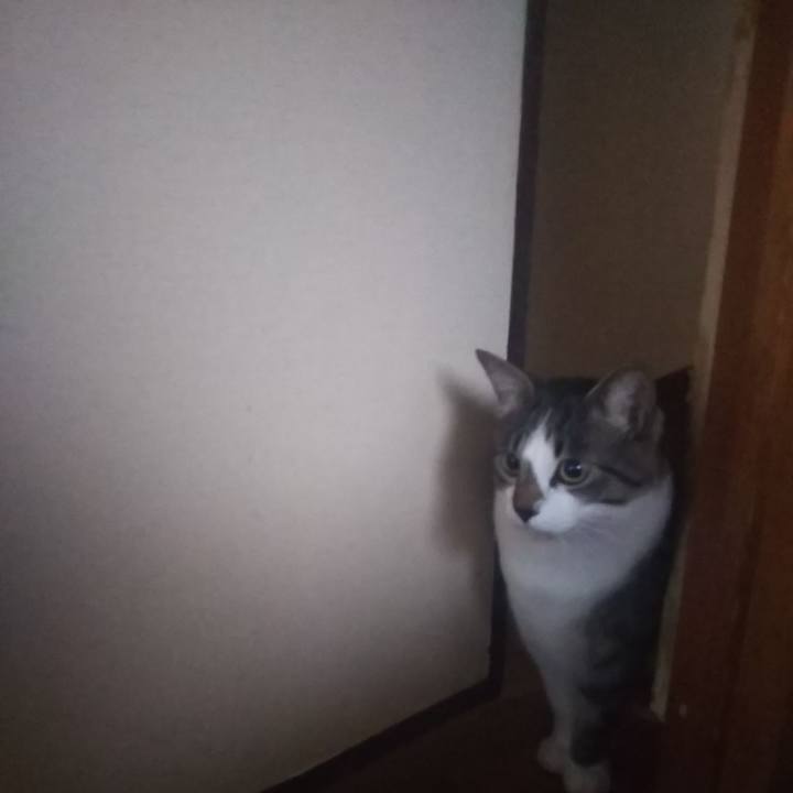 40e80faf f451 4034 80eb c96f2268d41a 1611399445090