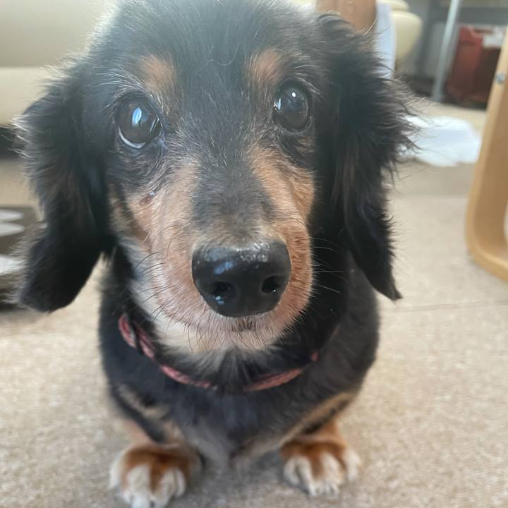 40e863ae b84d 4e47 9a25 2c2a8e2cb891 1634248431145