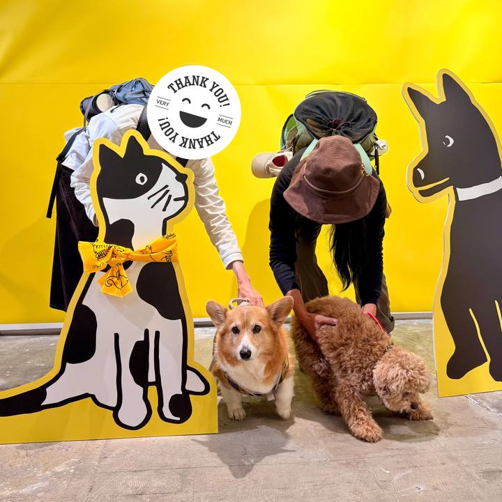 40e8692a 6071 4280 b6fd b6f8033c4ac3 1762209057911