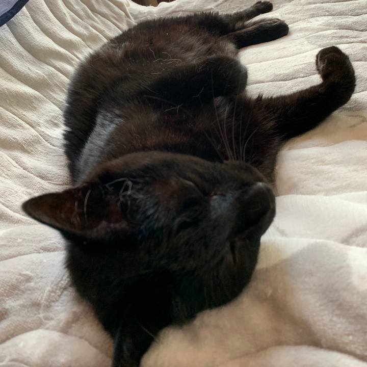 40e86a86 5615 435d 98c6 09bb1e60f5a6 1556413624710