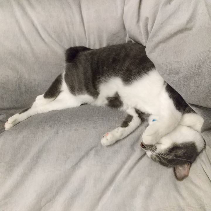 40e88a5a ee01 4239 b713 16d14602ddfa 1605436380494