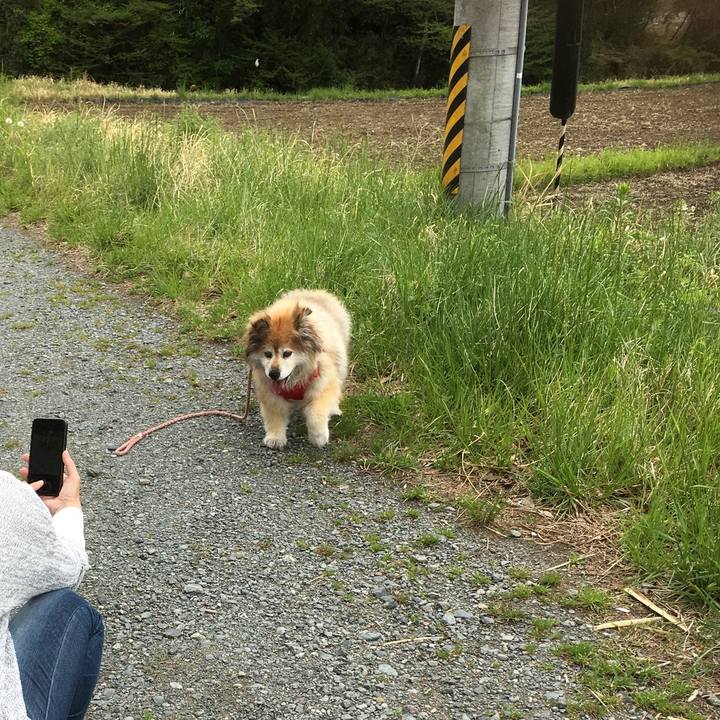 40e8bd16 b5ba 4e78 a845 f45a82fef522 1568853825817