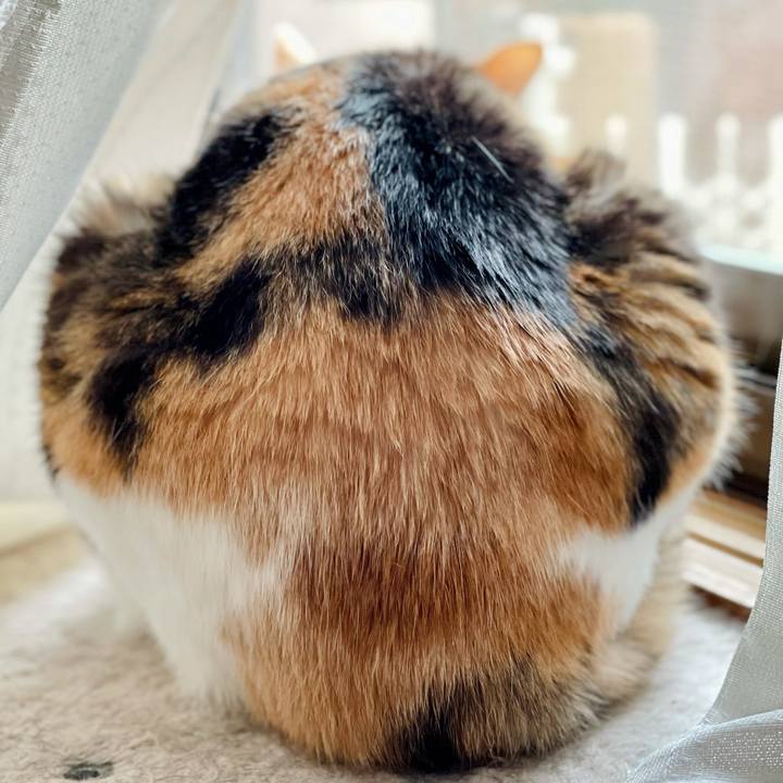 40e94aae a109 4238 855c e1963fa3e5a4 1622427856996