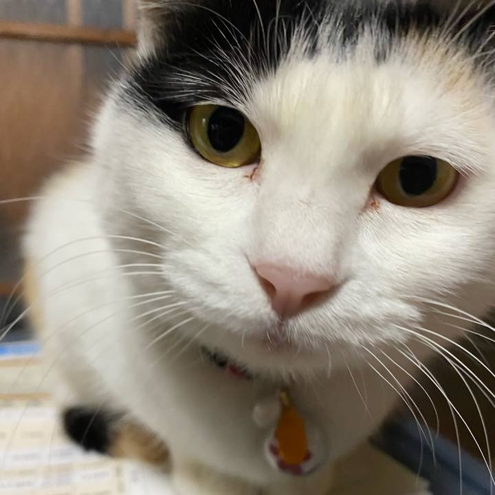 40e97db4 dd5f 4aec 97da 10d994d6124b 1646135435720