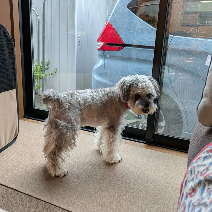 40e9dc0b a227 482a 97f4 deaa02f2a6ad 1754608292895