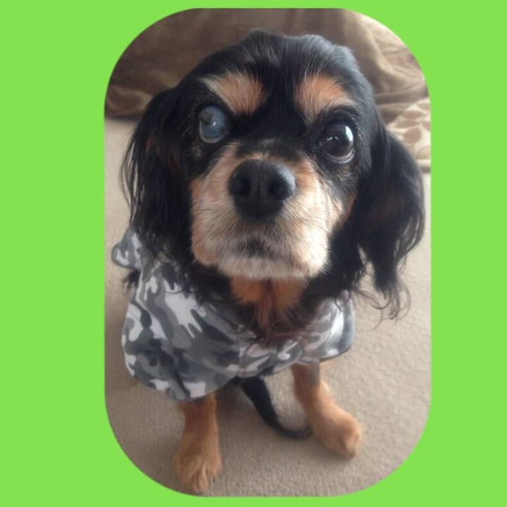 40e9e72d 29ce 497e bc50 38adbd5ffd82 1519211052606