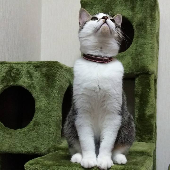 40e9ff6a f3bb 4929 81c3 6f02fe1cbe97 1617098685205