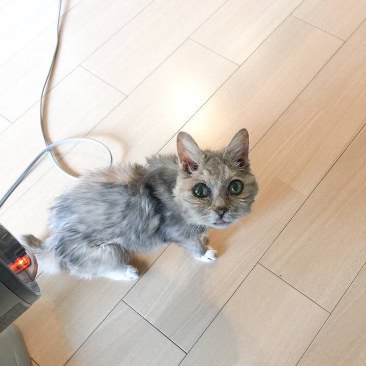 40ea16ca 3a60 4578 bb1d 89c4cba3ea9f 1581839943197