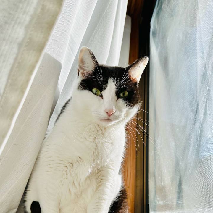 40ea70d5 667a 404b a40c 8b5b3bfa4562 1676597892138