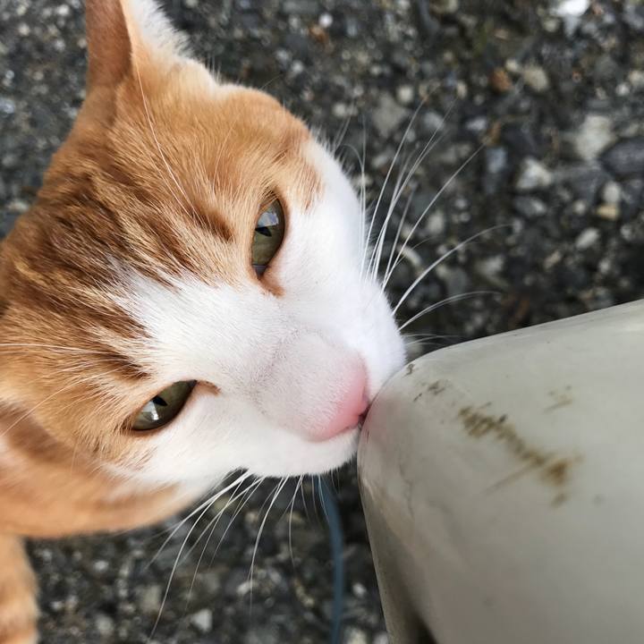 40ea7e46 adfb 41fe 9c35 4993ca825ce2 1510987882127