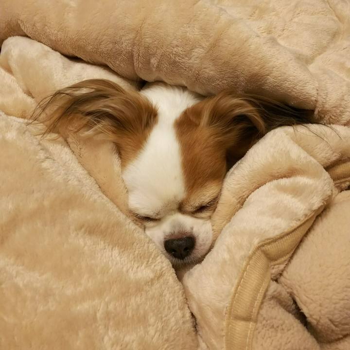 40ea8408 6fee 4bc1 85e3 6def0afa63e2 1508513593137