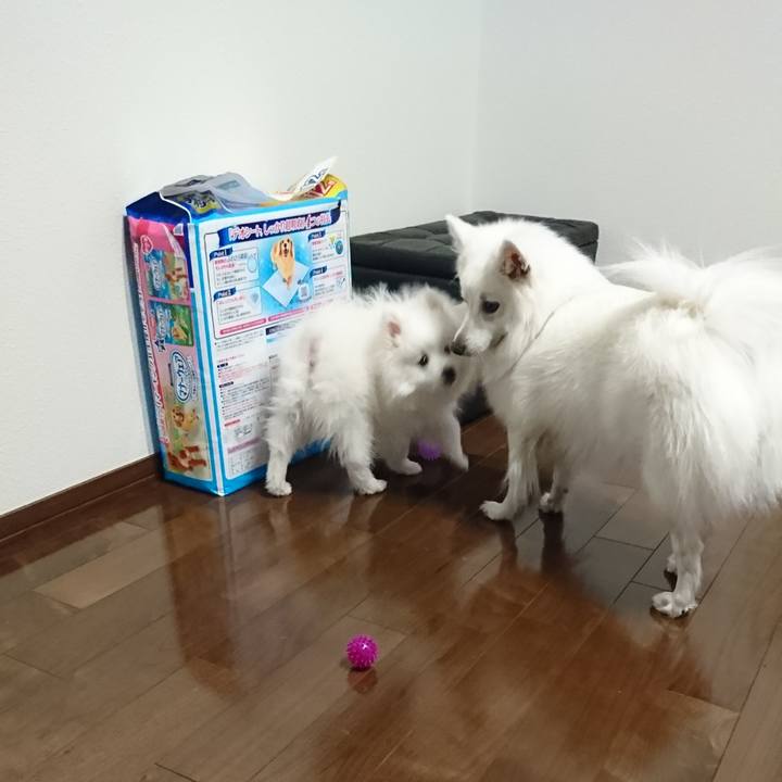 40ead0a3 785b 4e75 86a5 02e19446b071 1547038463626