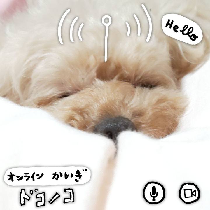 40ead8f9 a367 4658 923a 88126e26c74f 1591017496204