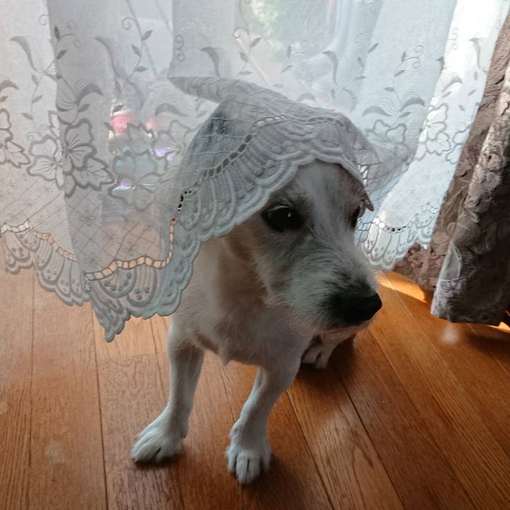 40eae88f 5a9a 4bc0 aa9e ba27327d5f60 1541028450219