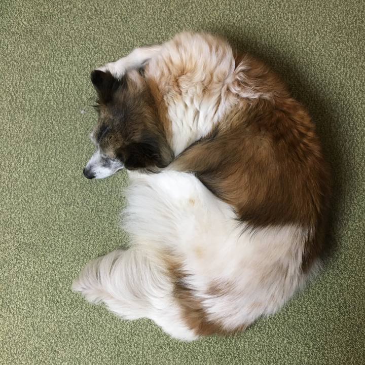 40eb3521 dbcd 4a49 a923 80fecb23e582 1511244720339