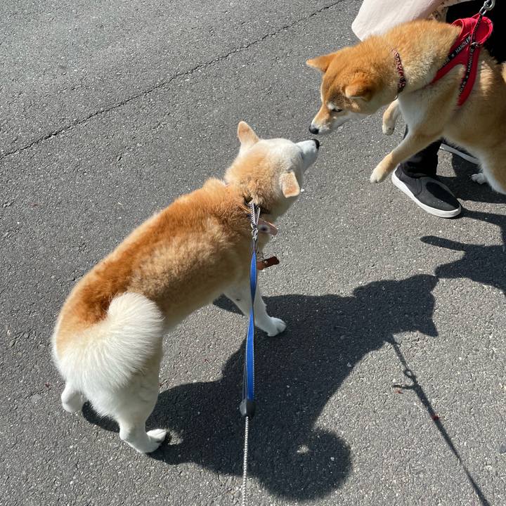 40eb3d12 c992 4c76 9df3 06981256e84b 1650177537205