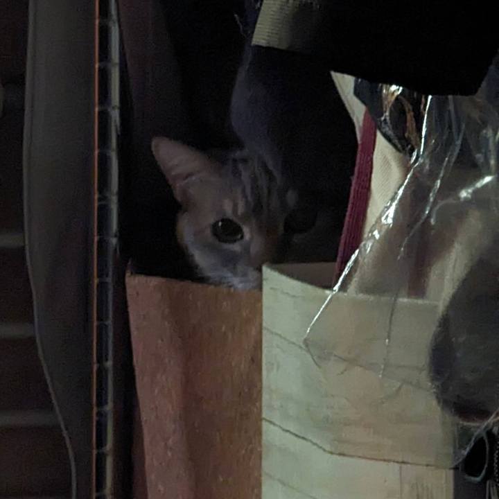 40eb6c21 abe7 485c 8822 a592cfc2f98c 1712032306408