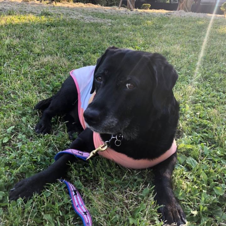 40eb9618 e075 4b10 adb5 a5dfd5208b18 1558685394844