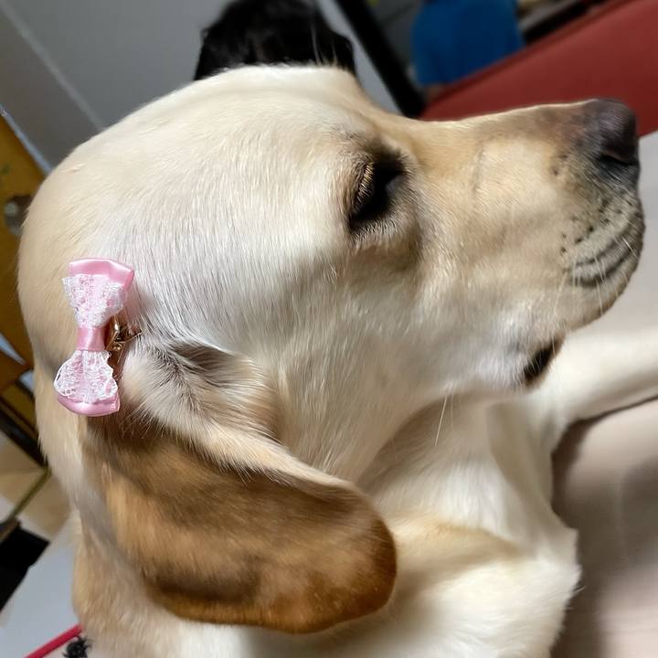 40eba63a 53fc 464a 8b1c 4b66e436dcbd 1656763940089