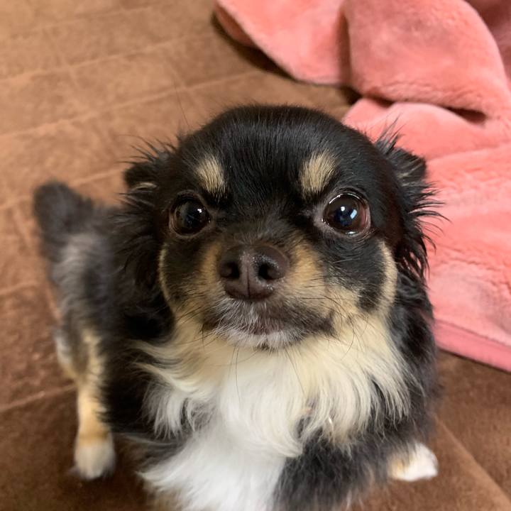 40ebb077 dbc6 4a37 a262 9334e9e310eb 1559433066746