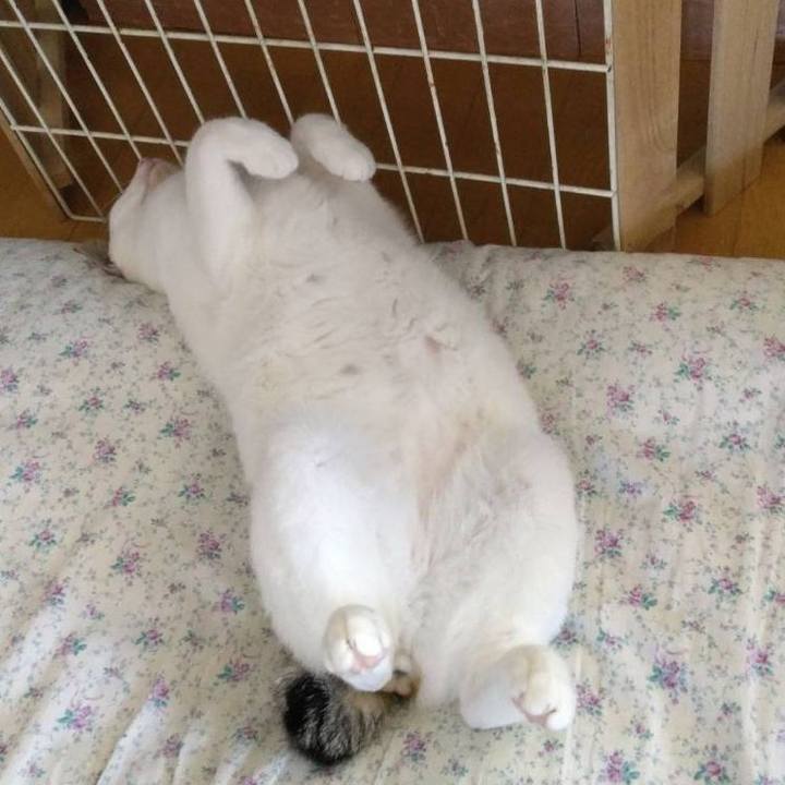 40ebcbbe 9505 406f 874f 41b1075bf492 1696725046357