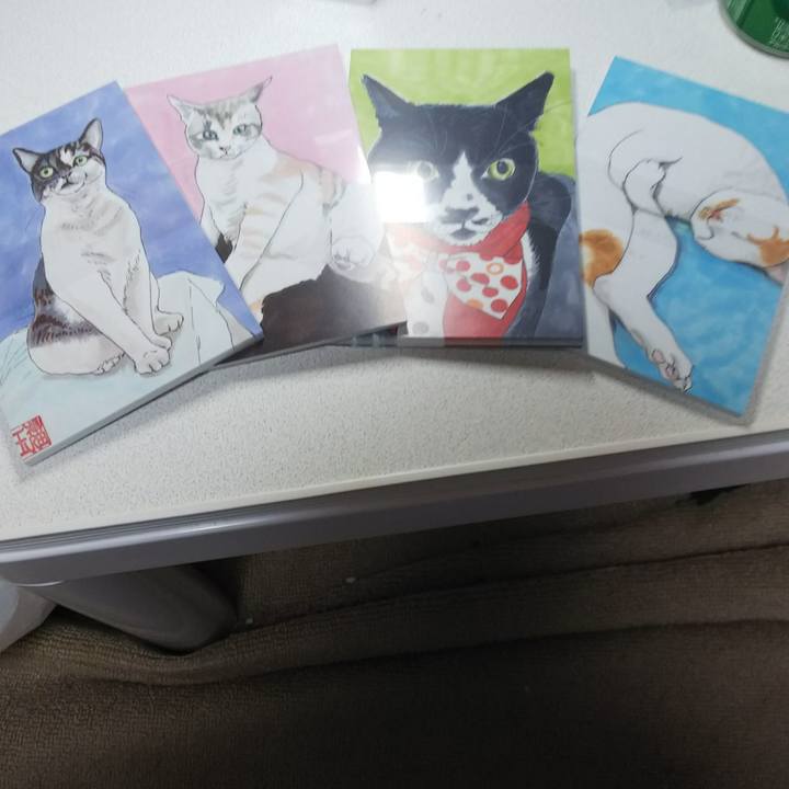 40ec1f44 a6b8 4183 ad3c b861866ecf96 1544869203094