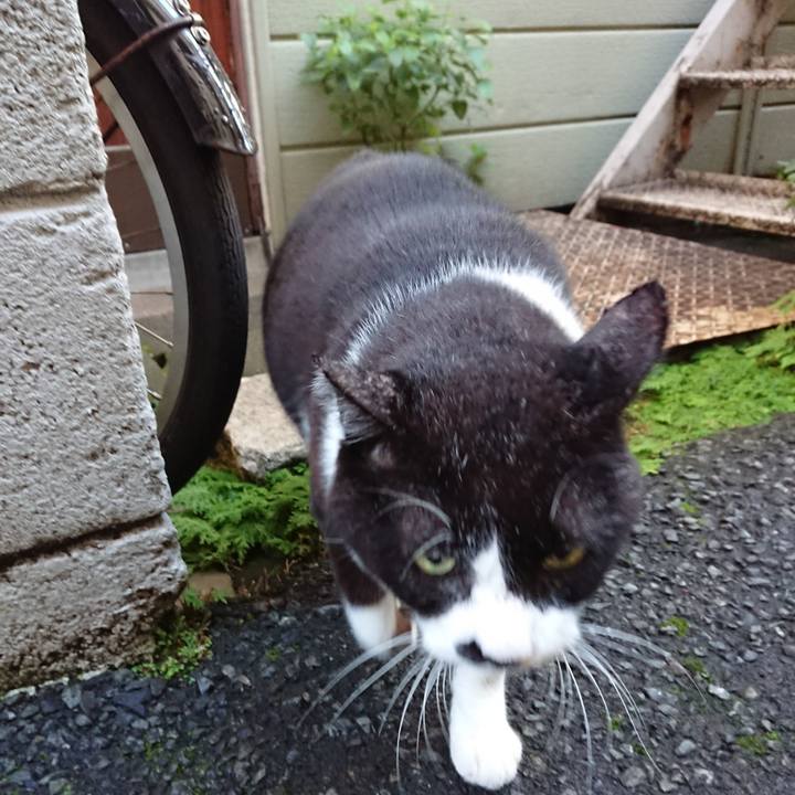 40ec2901 e4d7 4106 9aa5 7642aa7c06c3 1634702115998